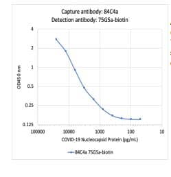 SARS-CoV-2 Nucleocapsid Antibody (84C4a)