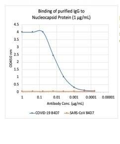 SARS-CoV-2 Nucleocapsid Antibody (84D7)