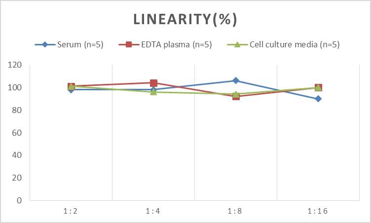 Human Vitronectin ELISA Kit (Chemiluminescence)