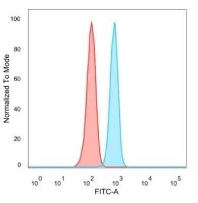 RXR beta/NR2B2 Antibody (PCRP-RXRB-2B6)