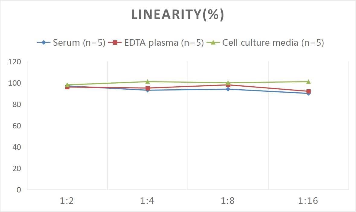 Mouse D-Dimer ELISA Kit (Colorimetric)