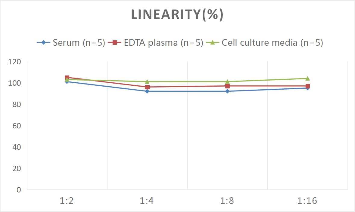 Rat D-Dimer ELISA Kit (Colorimetric)