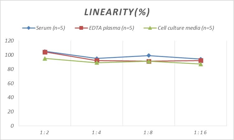 Rat EGR3 ELISA Kit (Colorimetric)