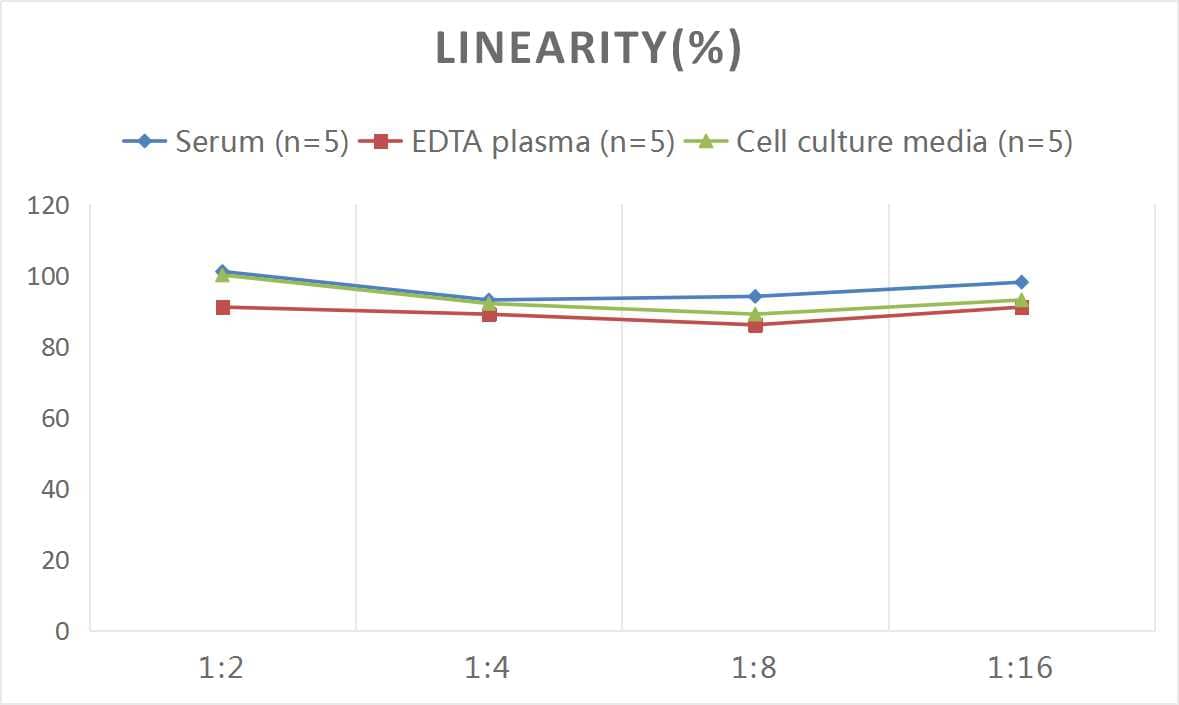 Human Irisin/FNDC5 ELISA Kit (Colorimetric)