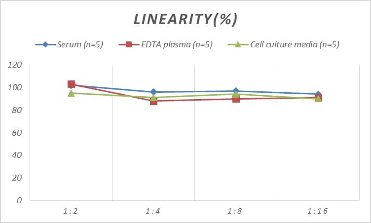 Rat GDF-1 ELISA Kit (Colorimetric)