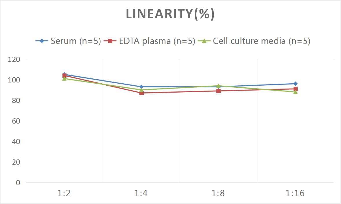 Mouse GDF-11/BMP-11 ELISA Kit (Colorimetric)