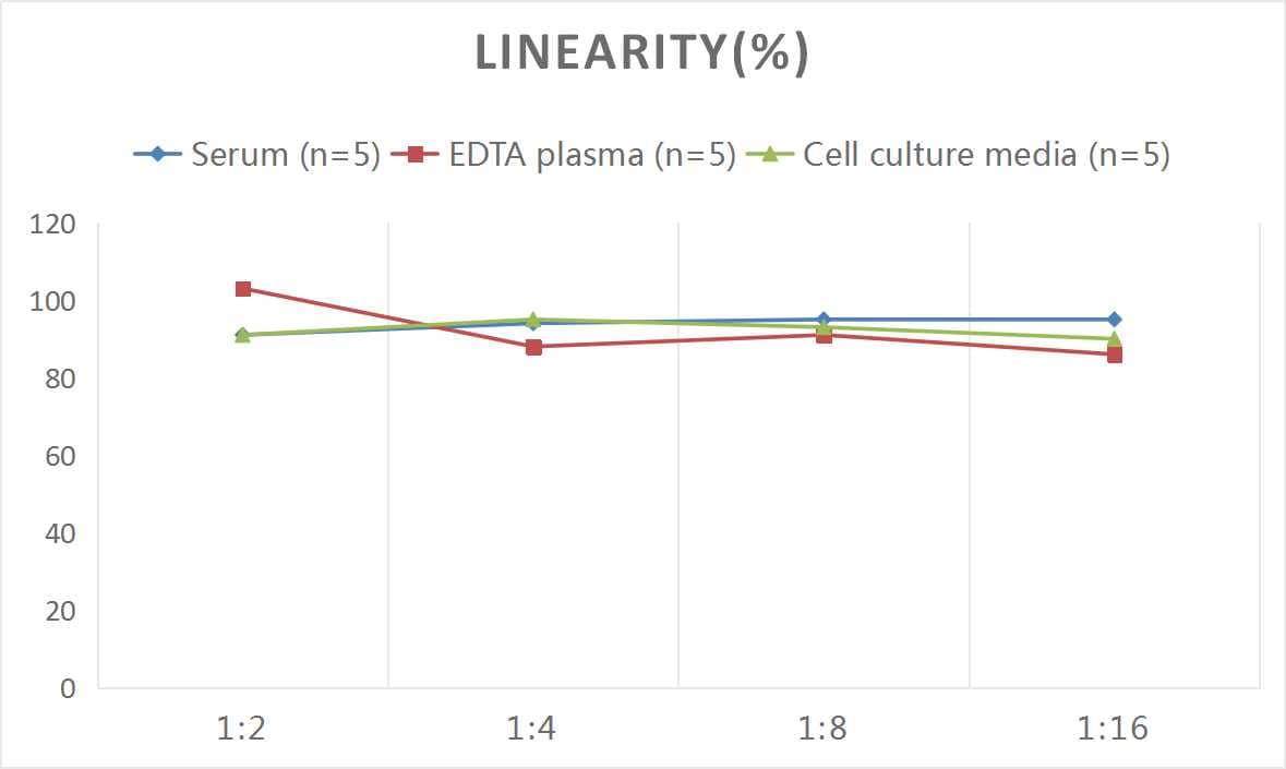 Rat GDF-11/BMP-11 ELISA Kit (Colorimetric)