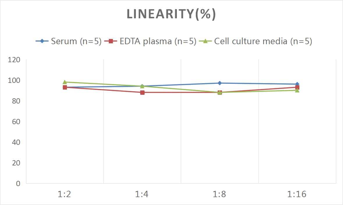 Human GDF-3 ELISA Kit (Colorimetric)