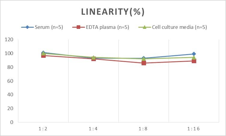 Rat GDF-3 ELISA Kit (Colorimetric)