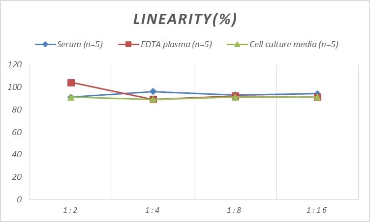 Rat GDF-5/BMP-14 ELISA Kit (Colorimetric)