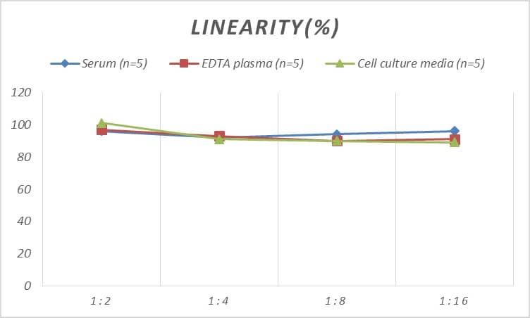 Rat GDF-6/BMP-13 ELISA Kit (Colorimetric)