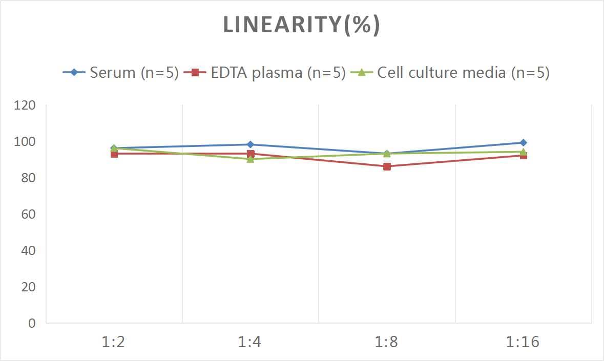 Human GDF-7/BMP-12 ELISA Kit (Colorimetric)