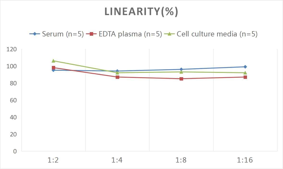 Human GDF-9 ELISA Kit (Colorimetric)