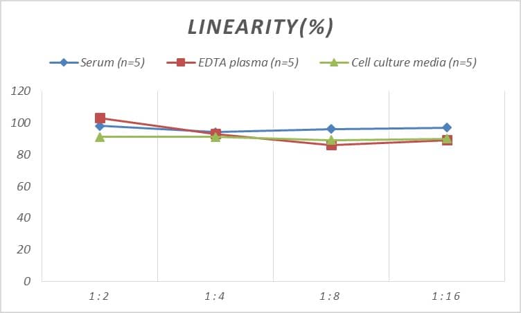 Rat GDF-9 ELISA Kit (Colorimetric)