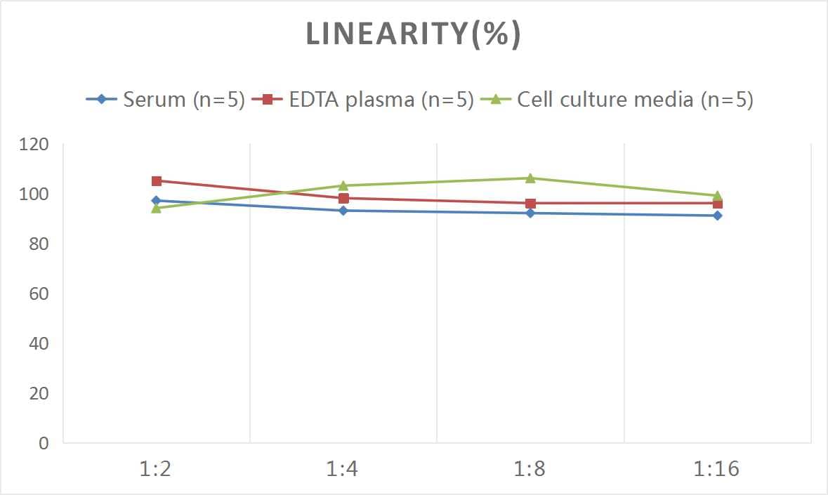 Mouse Gastrin ELISA Kit (Colorimetric)