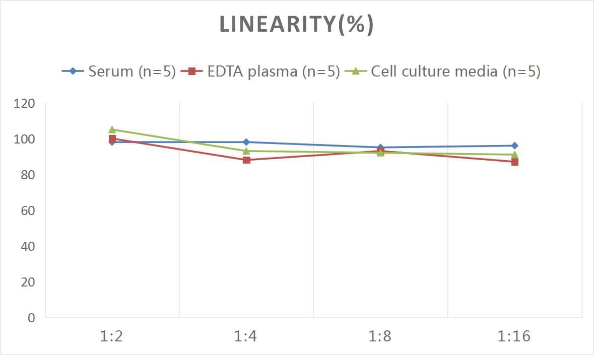 Rat CCL20/MIP-3 alpha ELISA Kit (Colorimetric)