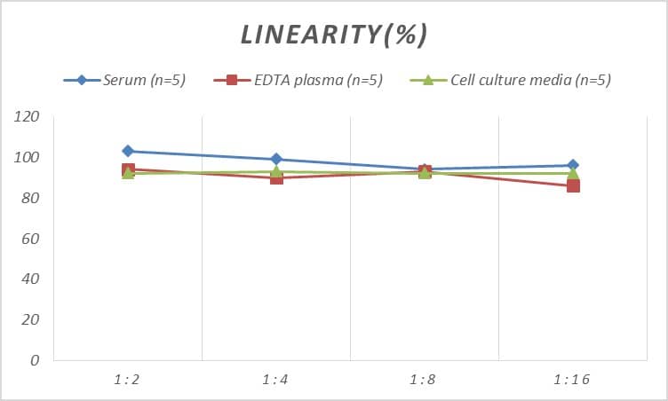 Human MMR/CD206/Mannose Receptor ELISA Kit (Colorimetric)