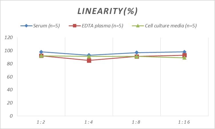 Rat MMR/CD206/Mannose Receptor ELISA Kit (Colorimetric)