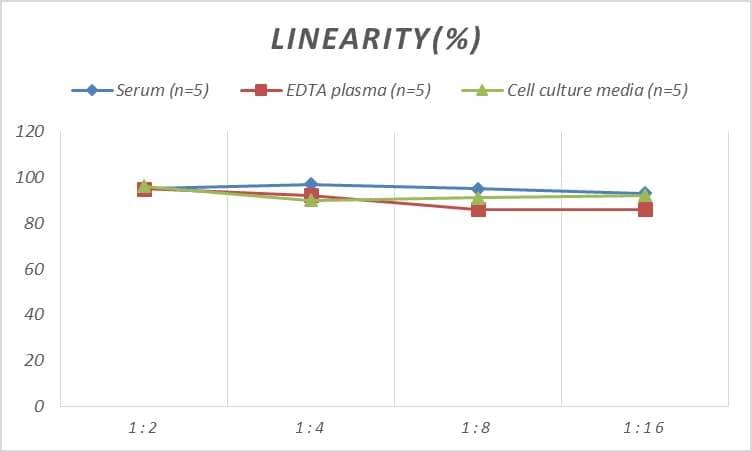 Human Myogenin ELISA Kit (Colorimetric)