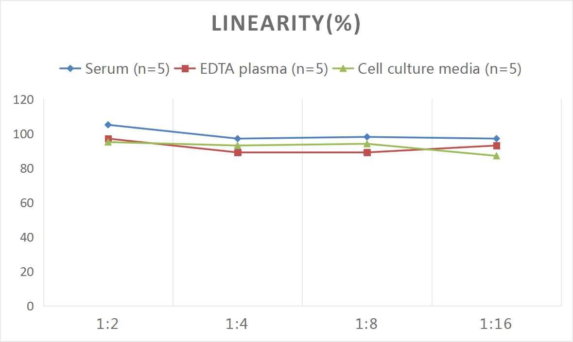 Rat Nrf2 ELISA Kit (Colorimetric)