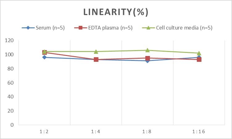 Rat PACAP-38 ELISA Kit (Colorimetric)