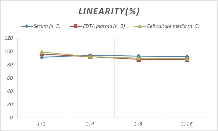 Rat Protocadherin-1 ELISA Kit (Colorimetric)