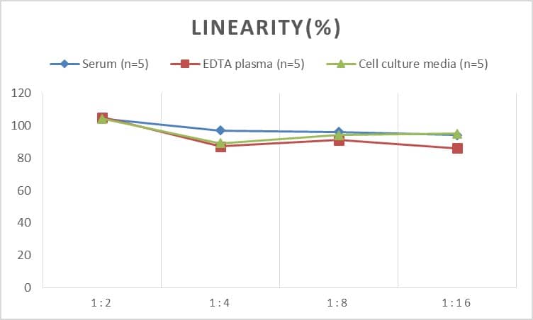 Human PCDHB2 ELISA Kit (Colorimetric)