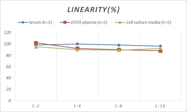 Human gamma-Synuclein ELISA Kit (Colorimetric)