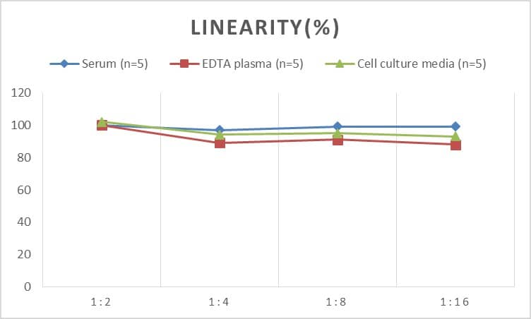 Human Syncollin ELISA Kit (Colorimetric)