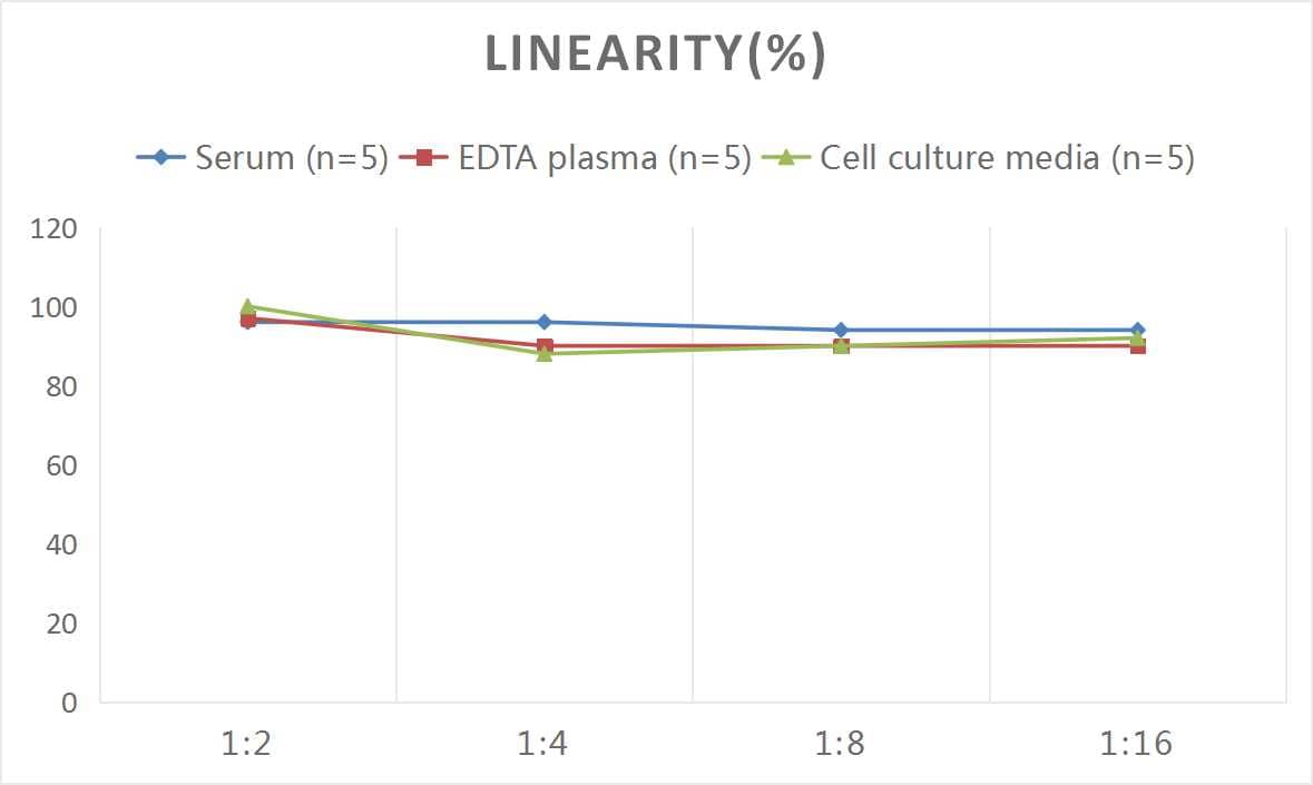 Human TACE/ADAM17 ELISA Kit (Colorimetric)