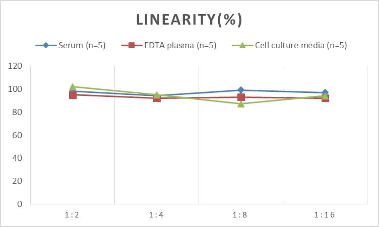 Rat TACE/ADAM17 ELISA Kit (Colorimetric)