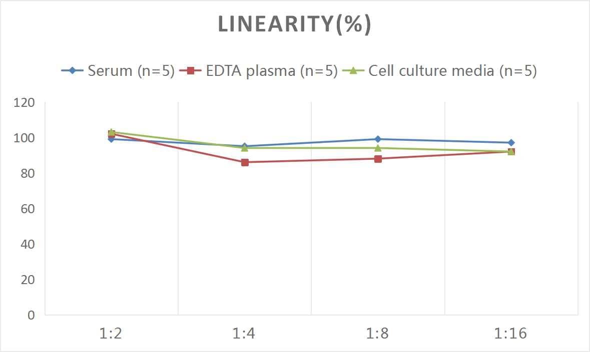 Rat TFF3 ELISA Kit (Colorimetric)