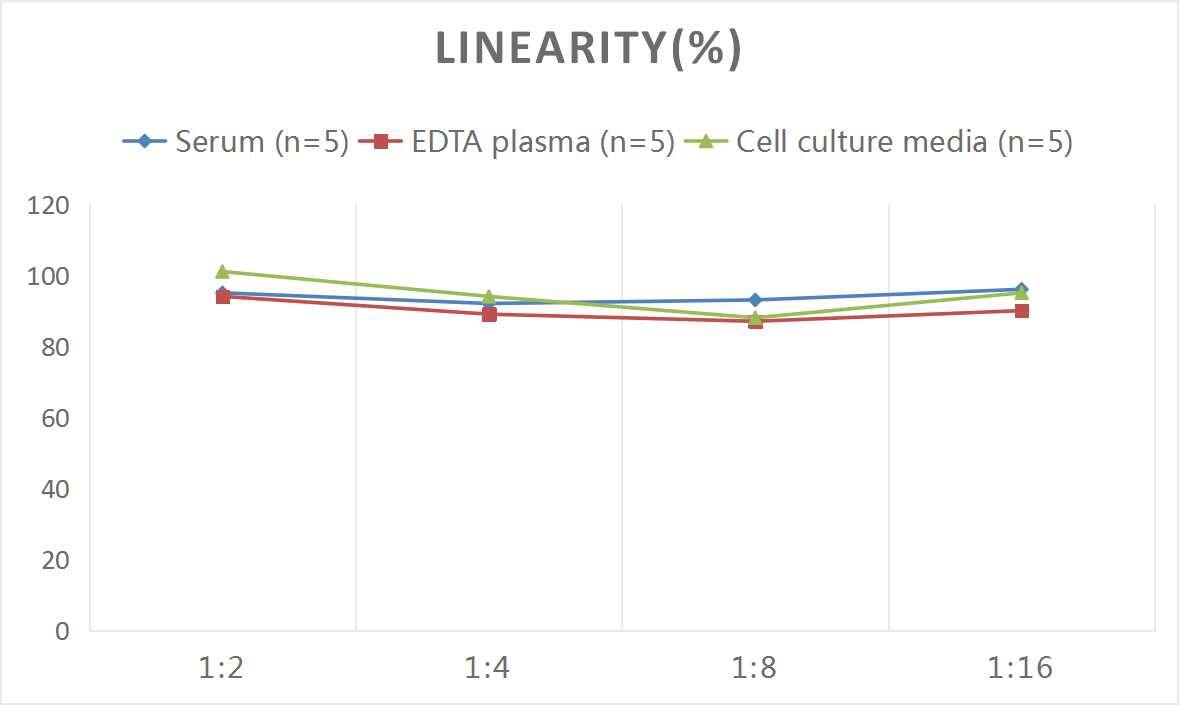 Mouse Thyroglobulin ELISA Kit (Colorimetric)