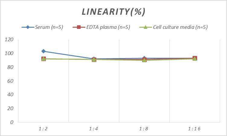 Rat Thyroglobulin ELISA Kit (Colorimetric)