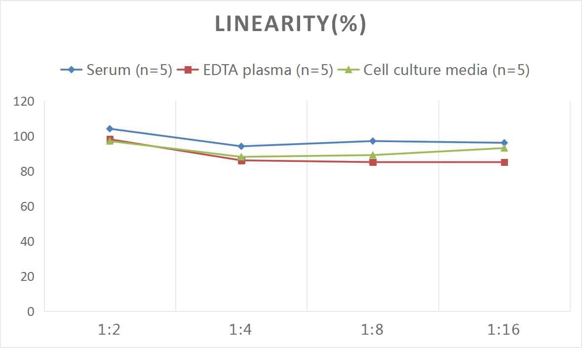 Rat Thrombomodulin/BDCA-3 ELISA Kit (Colorimetric)