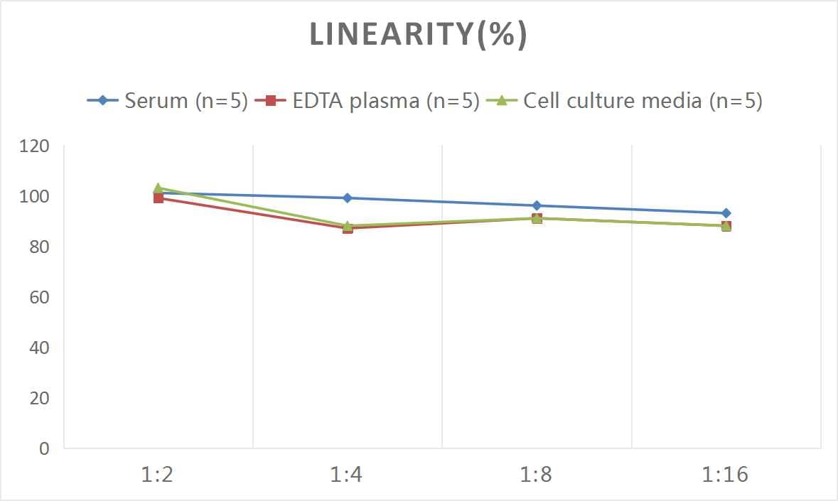 Human CD63 ELISA Kit (Colorimetric)