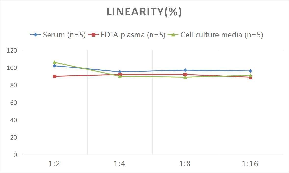 Mouse Transthyretin/Prealbumin ELISA Kit (Colorimetric)