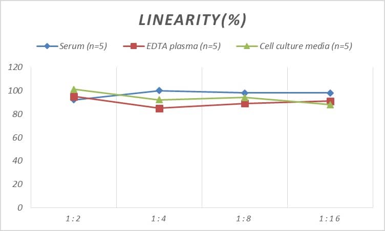 Rat Transthyretin/Prealbumin ELISA Kit (Colorimetric)