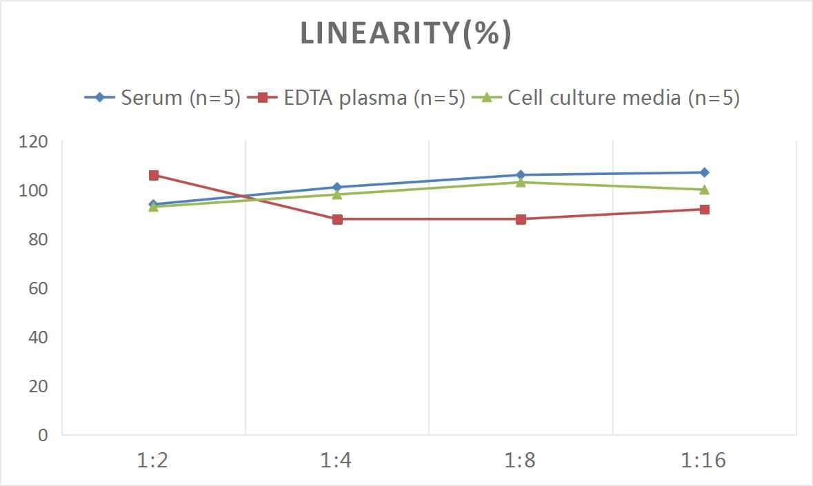 Rat VCAM-1/CD106 ELISA Kit (Colorimetric)