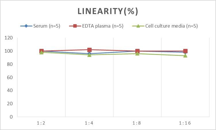 Rabbit VCAM-1/CD106 ELISA Kit (Colorimetric)