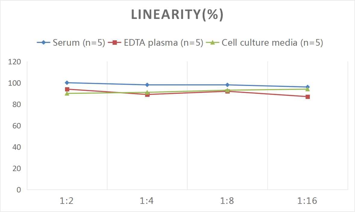 Rat Serpin F2/alpha 2-Antiplasmin ELISA Kit (Colorimetric)