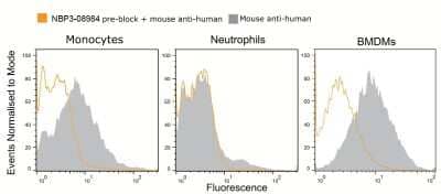 CD16/CD32 Antibody (2.4G2) - Azide and BSA Free
