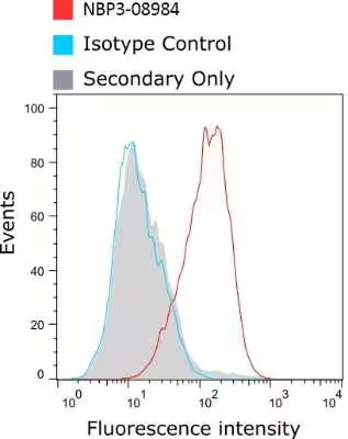 CD16/CD32 Antibody (2.4G2) - Azide and BSA Free