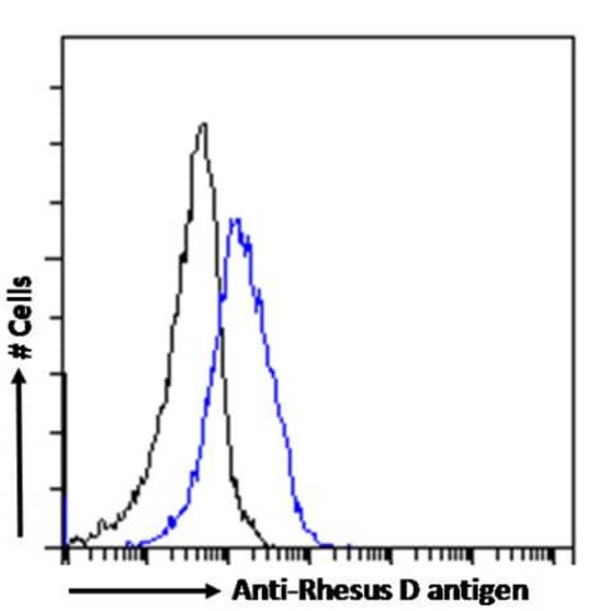 RHD Antibody (D7C2) - Chimeric - Azide and BSA Free