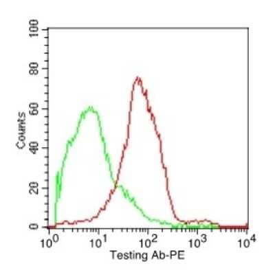 CD37 Antibody (IPO-24) - Azide and BSA Free Flow Cytometry: CD37 Antibody (IPO-24) - Azide and BSA Free [NBP3-11462] -