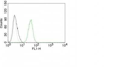 CD31/PECAM-1 Antibody (C31.10) - Azide and BSA Free Flow Cytometry: CD31/PECAM-1 Antibody (C31.10) - Azide and BSA Free [NBP3-11580] -