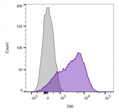 CD45 Antibody (136-4B5) - Azide and BSA Free Flow Cytometry: CD45 Antibody (136-4B5) - Azide and BSA Free [NBP3-11595] -