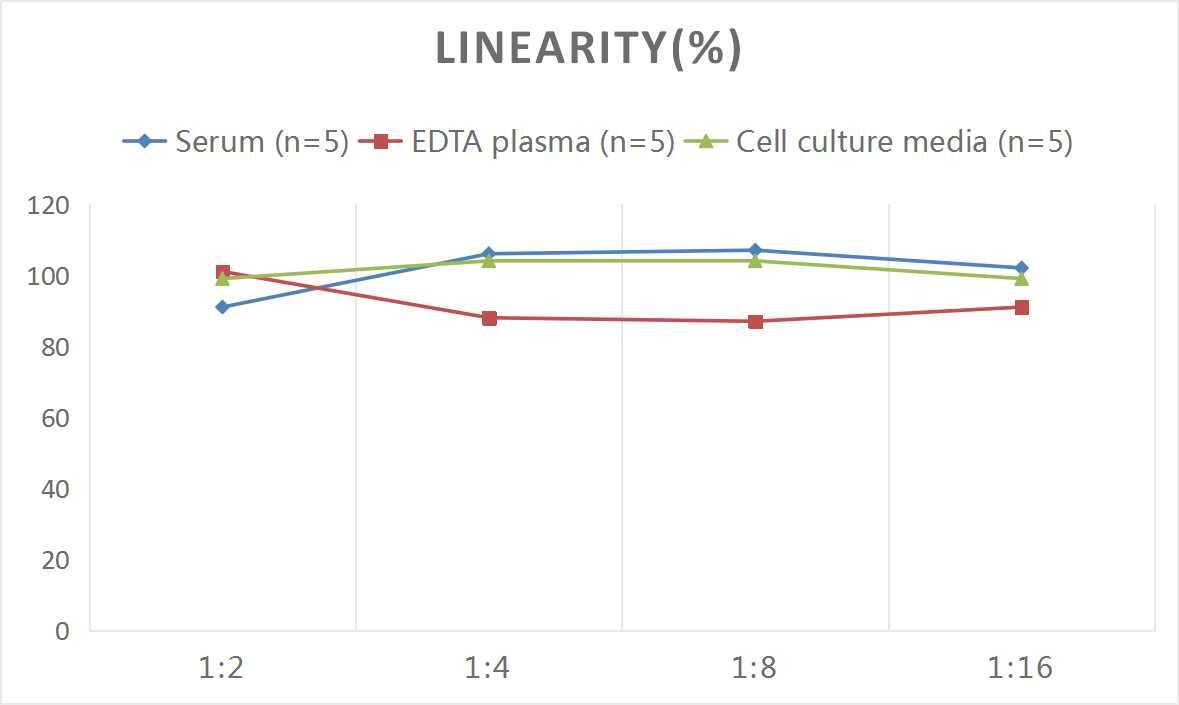 Rat Luteinizing Hormone ELISA Kit (Colorimetric)