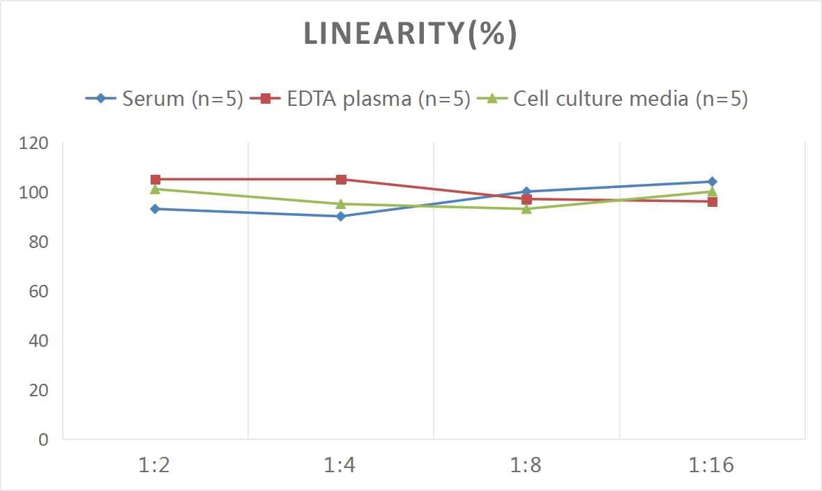 Human Haptoglobin ELISA Kit (Colorimetric)