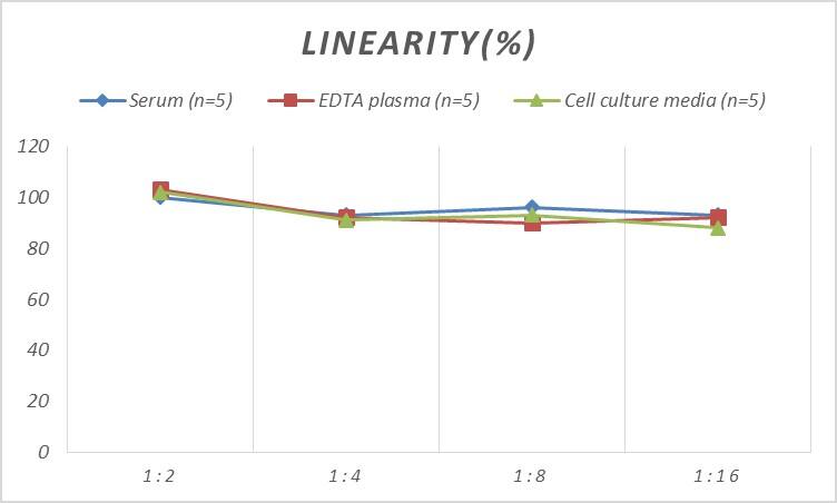 Human Collagen II ELISA Kit (Colorimetric)